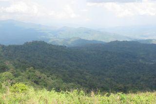 268760=3636-IMG_5074.jpg