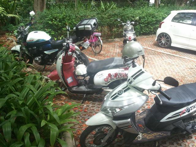 269467=4083-2011-07-02%2014.17.45.jpg 269467=4083-2011-07-02%2014.17.45.jpg