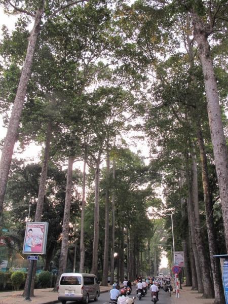 270439=4710-760.jpg 270439=4710-760.jpg