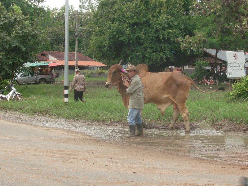 271075=4988-HPIM1428.jpg 271075=4988-HPIM1428.jpg