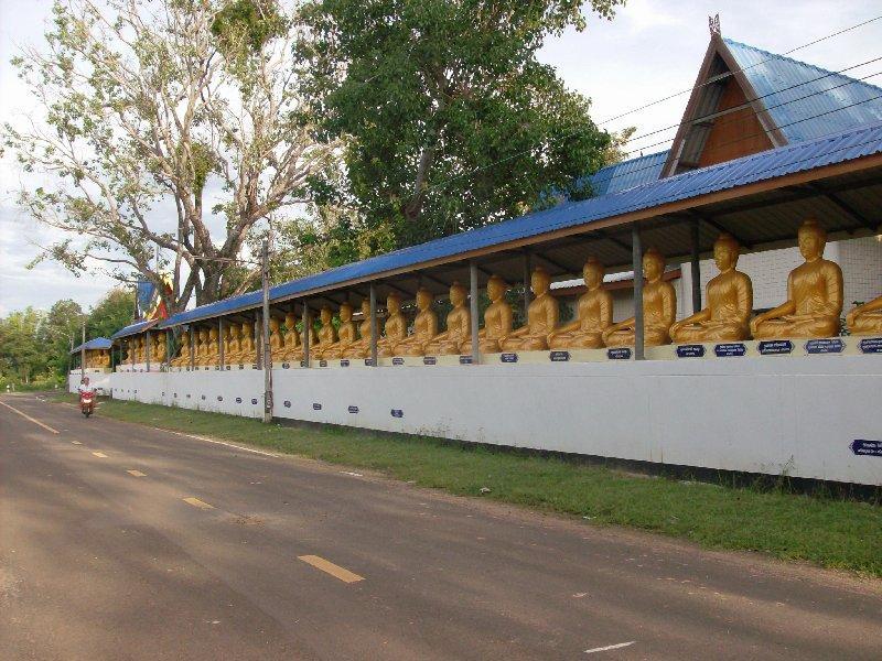 271075=4989-HPIM1421.jpg 271075=4989-HPIM1421.jpg