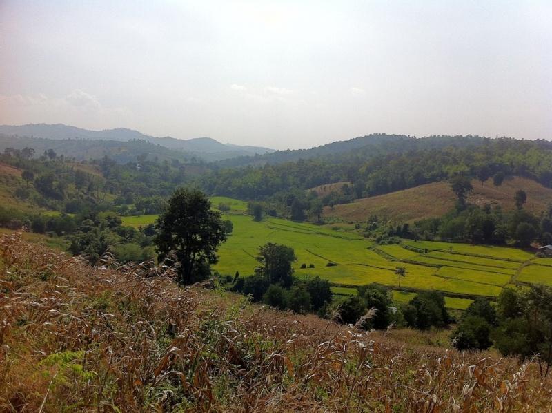 272866=5744-IMG_0318.jpg 272866=5744-IMG_0318.jpg