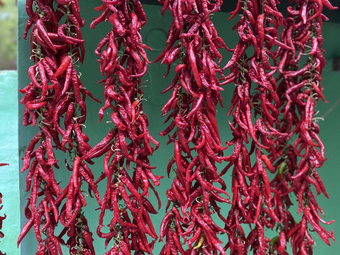 34FFF62E-F4F0-4970-9FC6-DC499522A241.jpeg