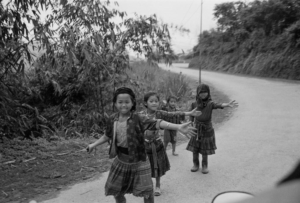 41745137512_68a7cf99ae_b.jpg 41745137512_68a7cf99ae_b.jpg