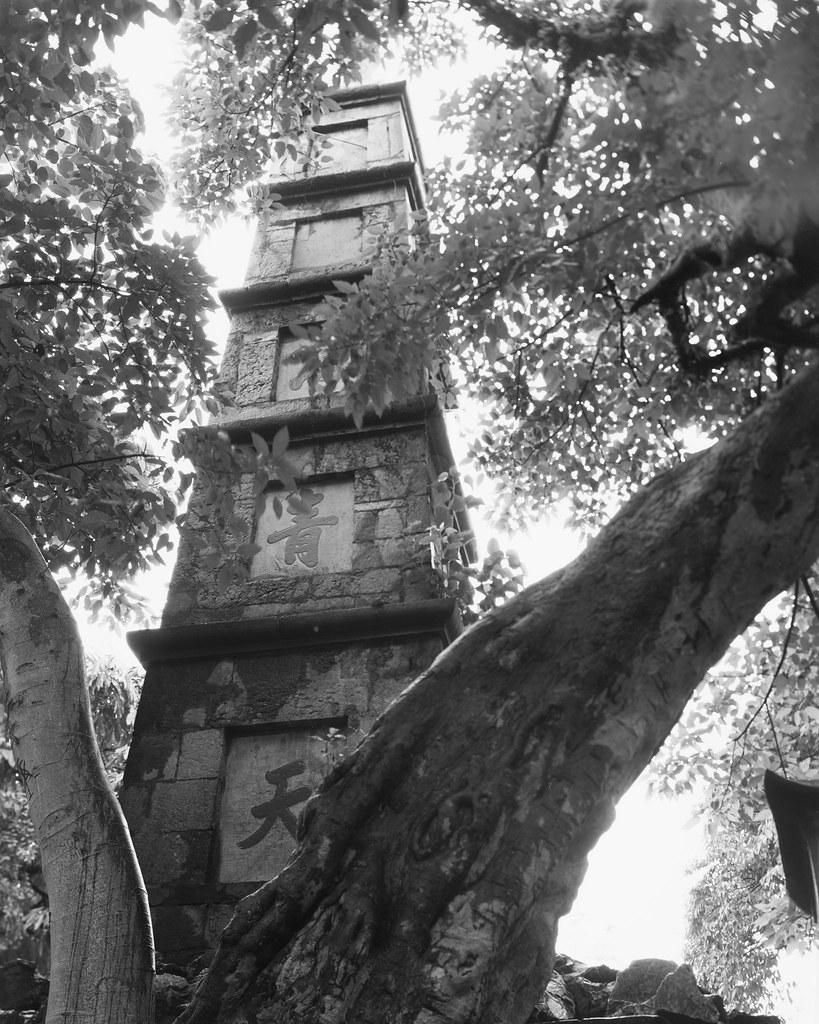 41925362751_86e01e02a9_b.jpg 41925362751_86e01e02a9_b.jpg