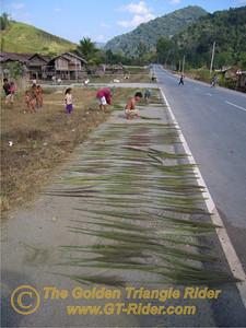 473377145_Q3Uao-S.jpg 473377145_Q3Uao-S.jpg