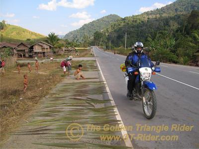 473377146_Dpn5m-S.jpg 473377146_Dpn5m-S.jpg