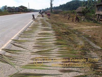 473377181_uDaAN-S.jpg 473377181_uDaAN-S.jpg