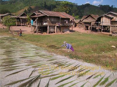 473377194_qJdLh-S.jpg 473377194_qJdLh-S.jpg