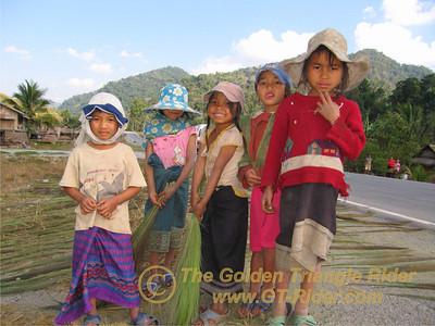 473377256_eCLr7-S.jpg 473377256_eCLr7-S.jpg