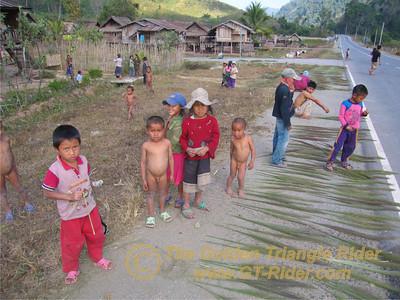 473377262_h5tNi-S.jpg 473377262_h5tNi-S.jpg