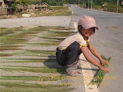 473377316_iqYiQ-S.jpg 473377316_iqYiQ-S.jpg