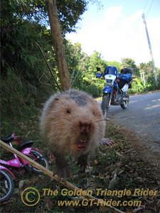 473377446_tjKVh-S.jpg 473377446_tjKVh-S.jpg