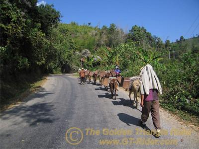 473377500_WTGAe-S.jpg 473377500_WTGAe-S.jpg