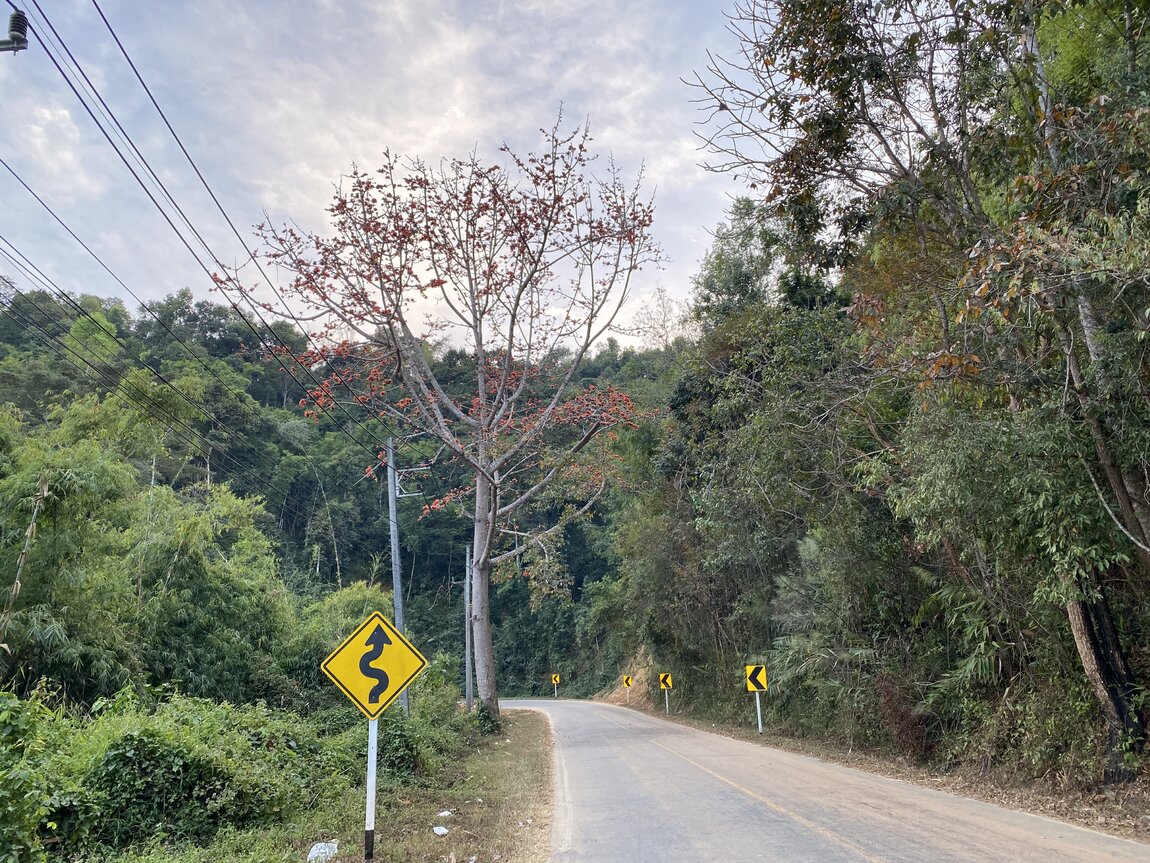 58946B97-D12A-44D0-B55D-711C8D87789C.jpeg