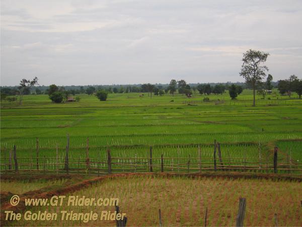 590113857_sWmxr-M.jpg 590113857_sWmxr-M.jpg