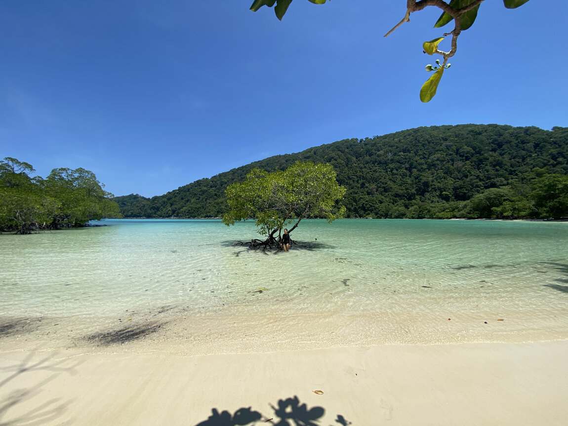 5FEDF4F3-675D-427F-B236-8543A951FC53.jpeg 5FEDF4F3-675D-427F-B236-8543A951FC53.jpeg