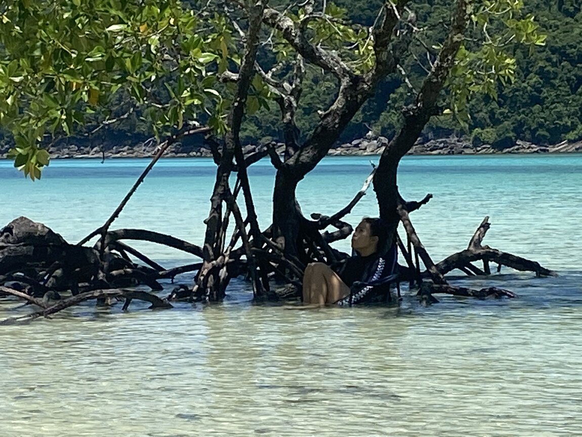 67EA689A-5493-4FFB-A6E6-D32865339D80.jpeg 67EA689A-5493-4FFB-A6E6-D32865339D80.jpeg