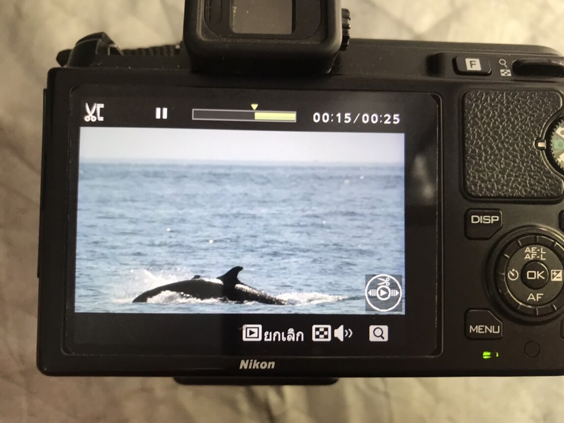 6FECACA9-ACE3-41A7-912D-B3BC4B7A5598.jpeg 6FECACA9-ACE3-41A7-912D-B3BC4B7A5598.jpeg