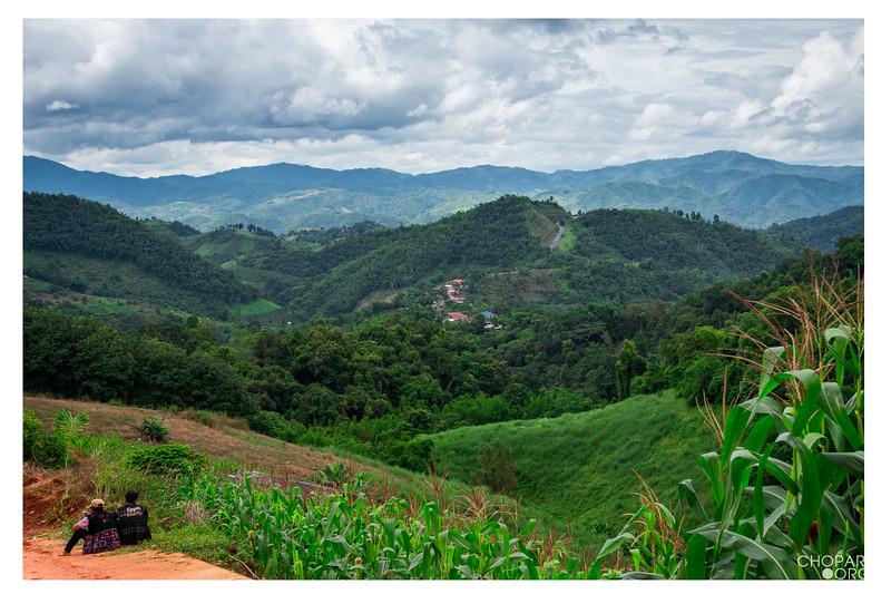 75D_3667-Edit-Edit-L.jpg 75D_3667-Edit-Edit-L.jpg