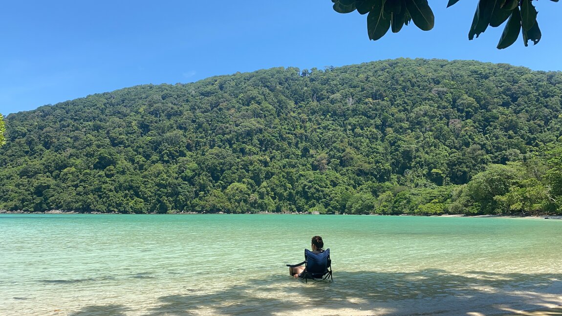 81456324-1A35-4063-8F57-630293CED66D.jpeg 81456324-1A35-4063-8F57-630293CED66D.jpeg