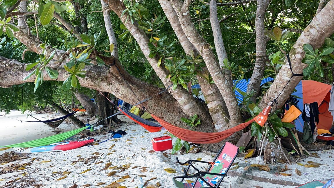 89BD12E7-EA9D-4B7E-8AE2-2329511BE8A0.jpeg 89BD12E7-EA9D-4B7E-8AE2-2329511BE8A0.jpeg