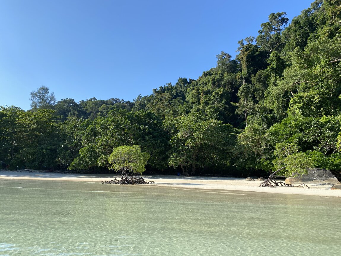 9BD8BD1D-E42A-4638-8C2D-D4057718277B.jpeg 9BD8BD1D-E42A-4638-8C2D-D4057718277B.jpeg