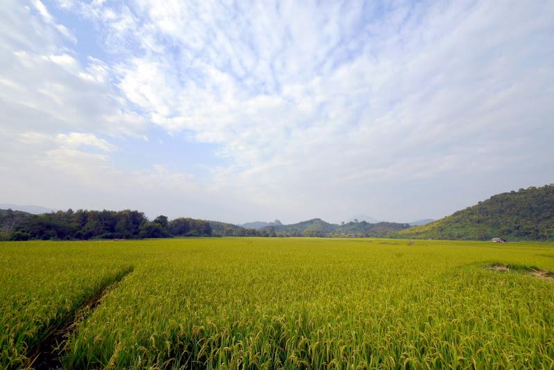 _1050468.jpg _1050468.jpg