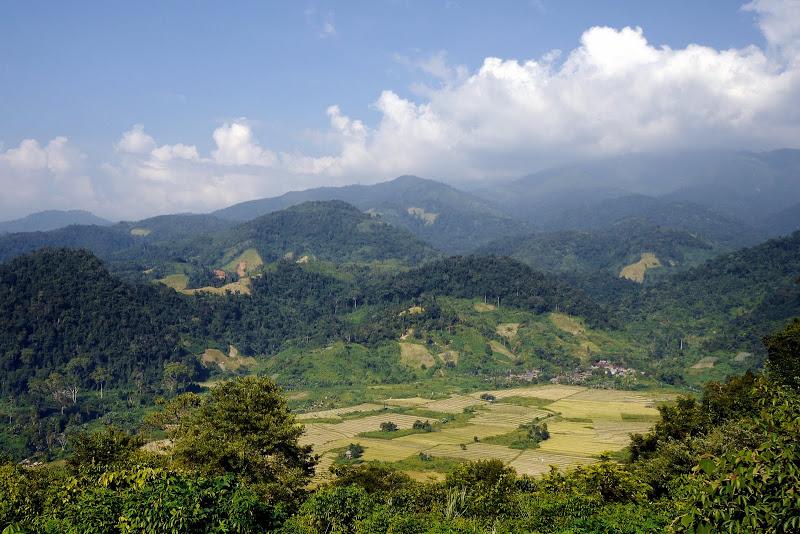 _1050602.jpg _1050602.jpg