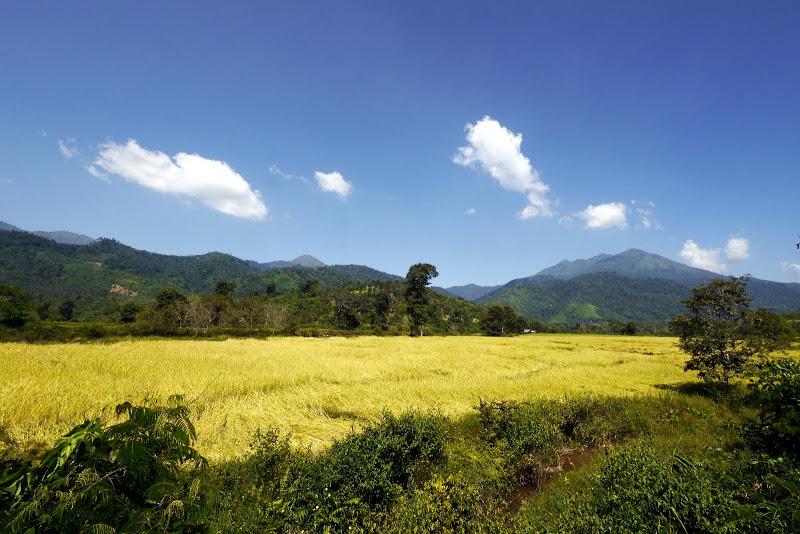 _1050711.jpg _1050711.jpg