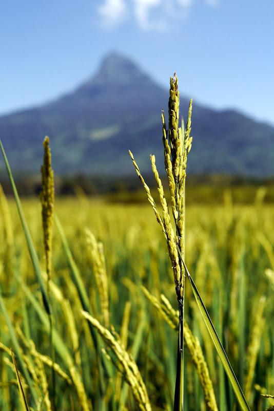 _1050724.jpg _1050724.jpg