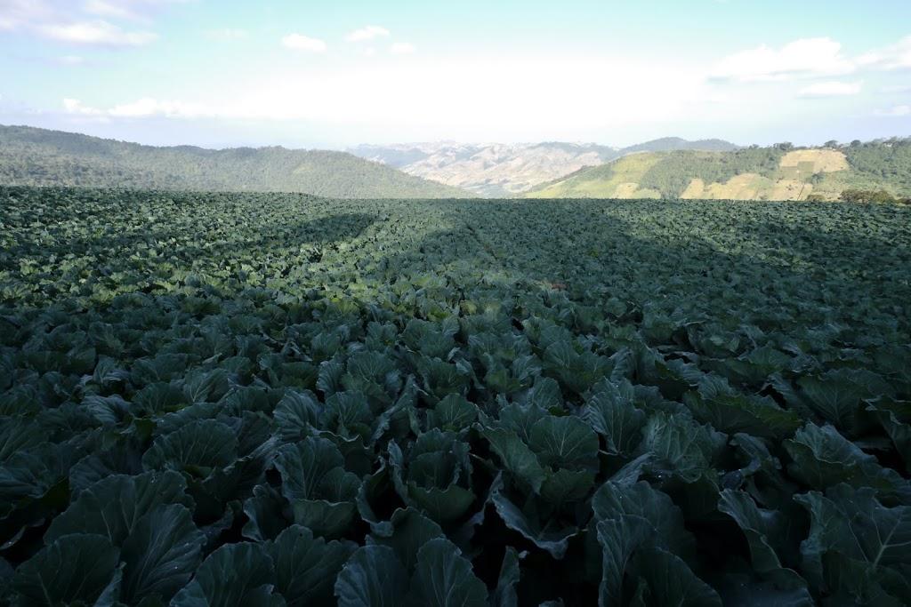 _1060732.jpg _1060732.jpg