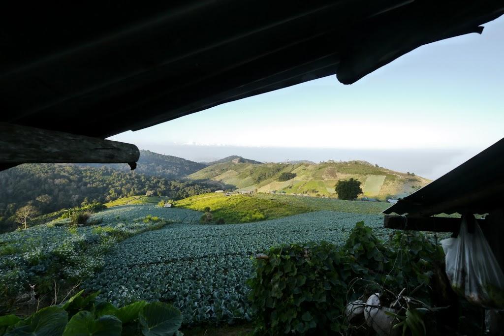 _1060770.jpg _1060770.jpg