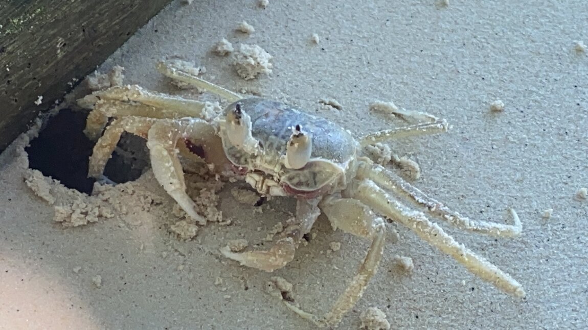 B22976A8-6C03-4850-BB54-319CBD6568F9.jpeg B22976A8-6C03-4850-BB54-319CBD6568F9.jpeg