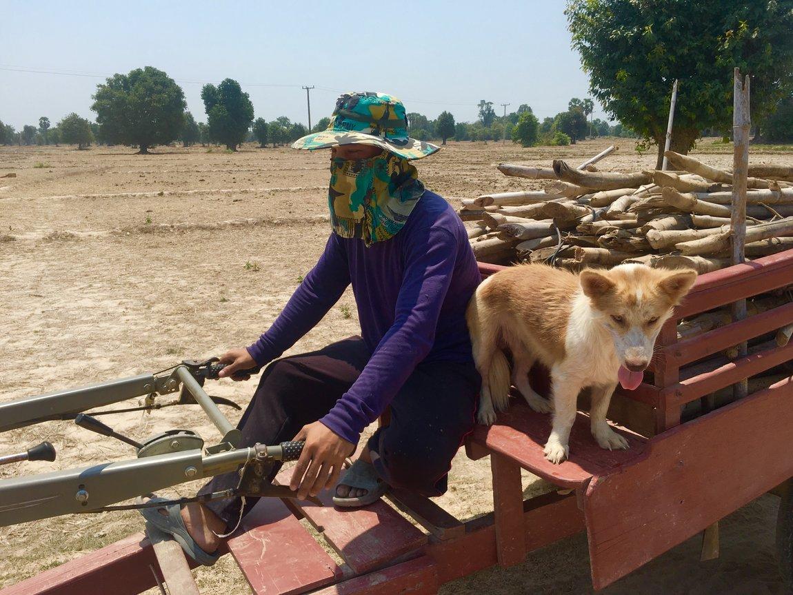 B9F4F1B3-93E8-4545-B043-BF380DF59B4A.jpeg B9F4F1B3-93E8-4545-B043-BF380DF59B4A.jpeg