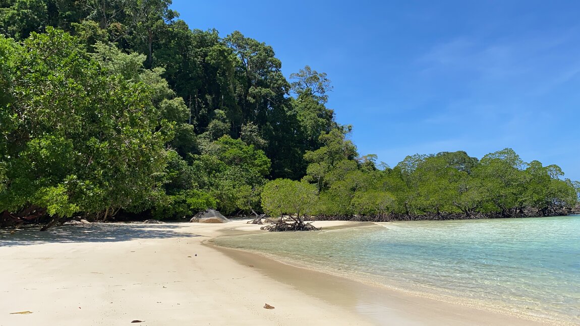 BF03AC61-5F71-411C-AE07-93BF0FEECBA0.jpeg BF03AC61-5F71-411C-AE07-93BF0FEECBA0.jpeg