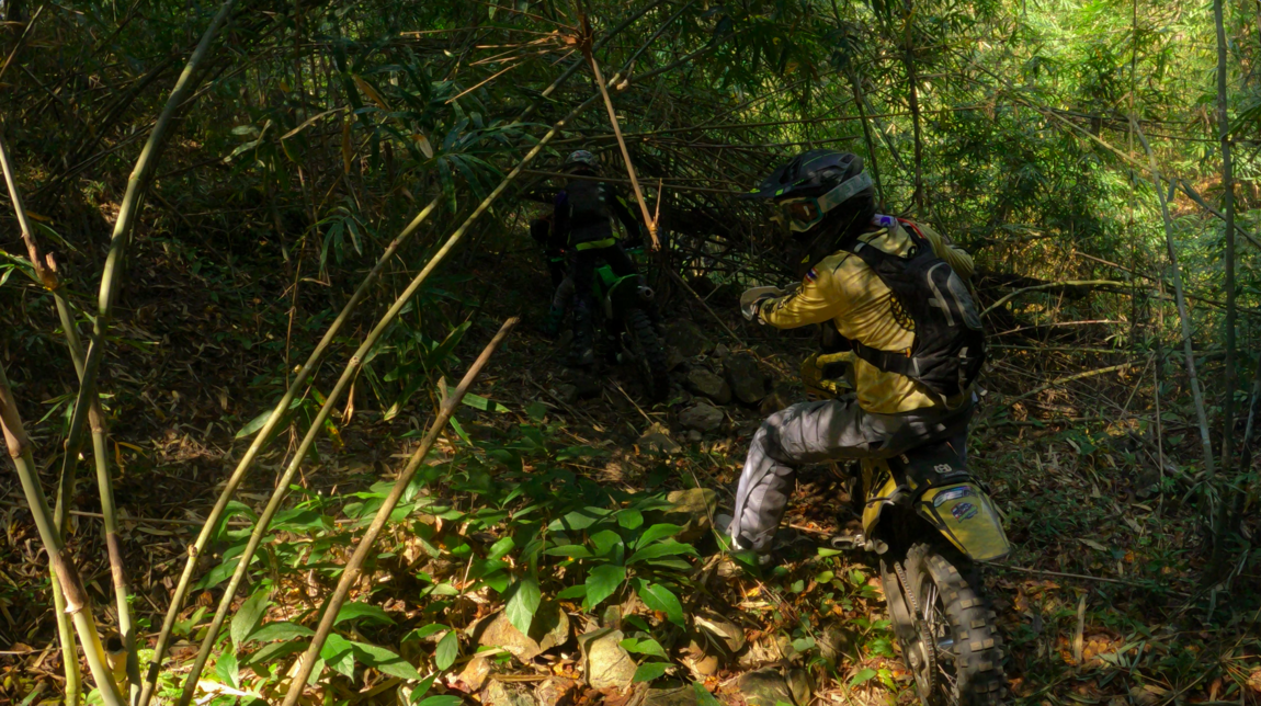 Bildschirm­foto 2023-02-25 um 10.26.57.png