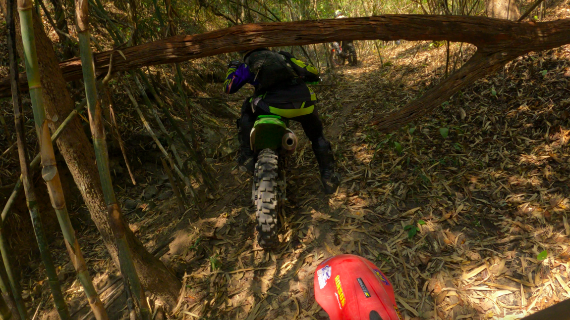 Bildschirm­foto 2023-02-25 um 10.31.55.png