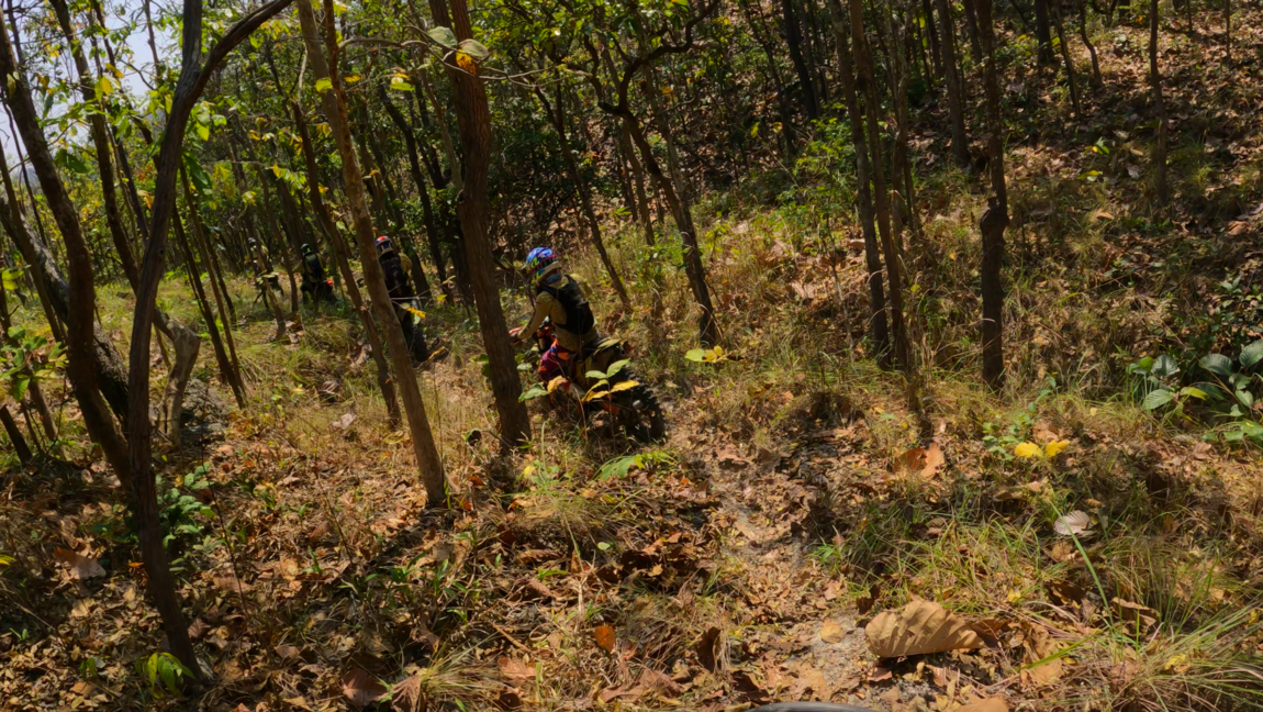 Bildschirm­foto 2023-02-25 um 10.41.06.png