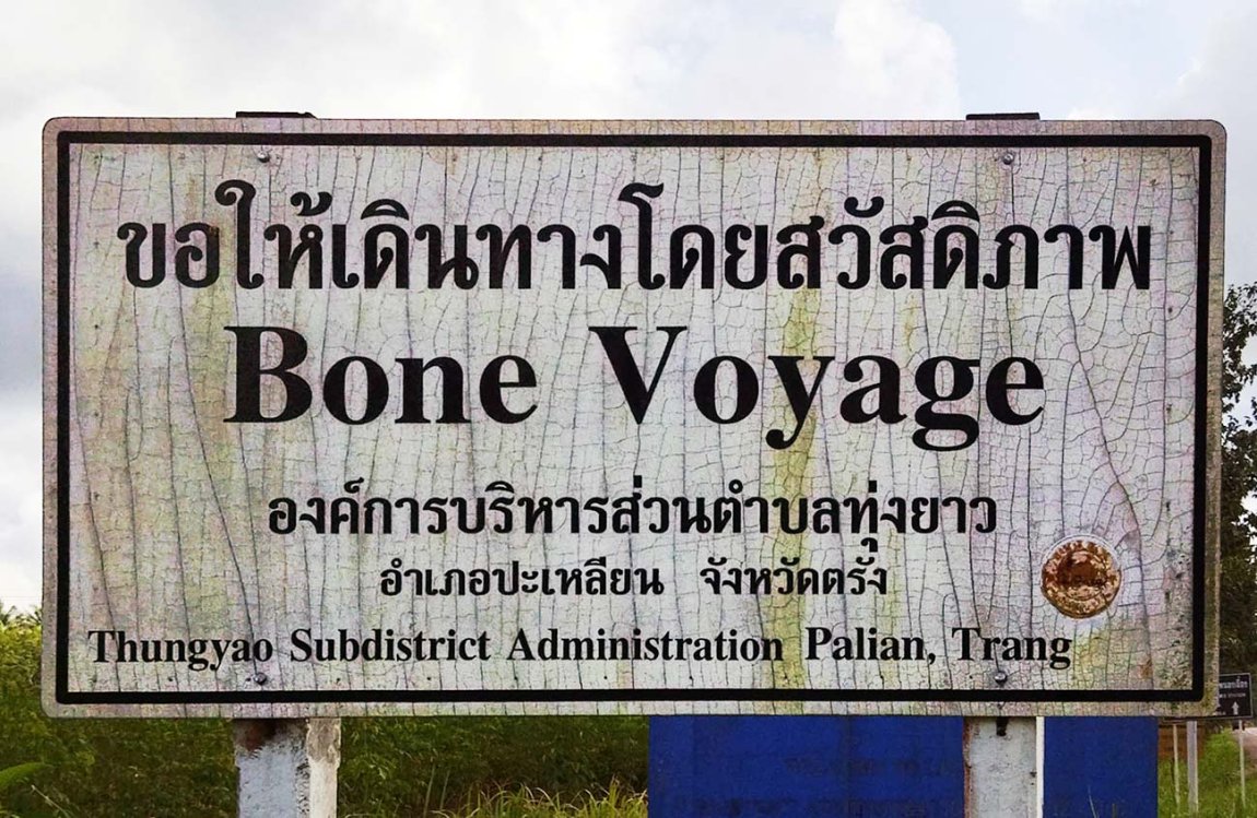 Bone Voyage.jpg