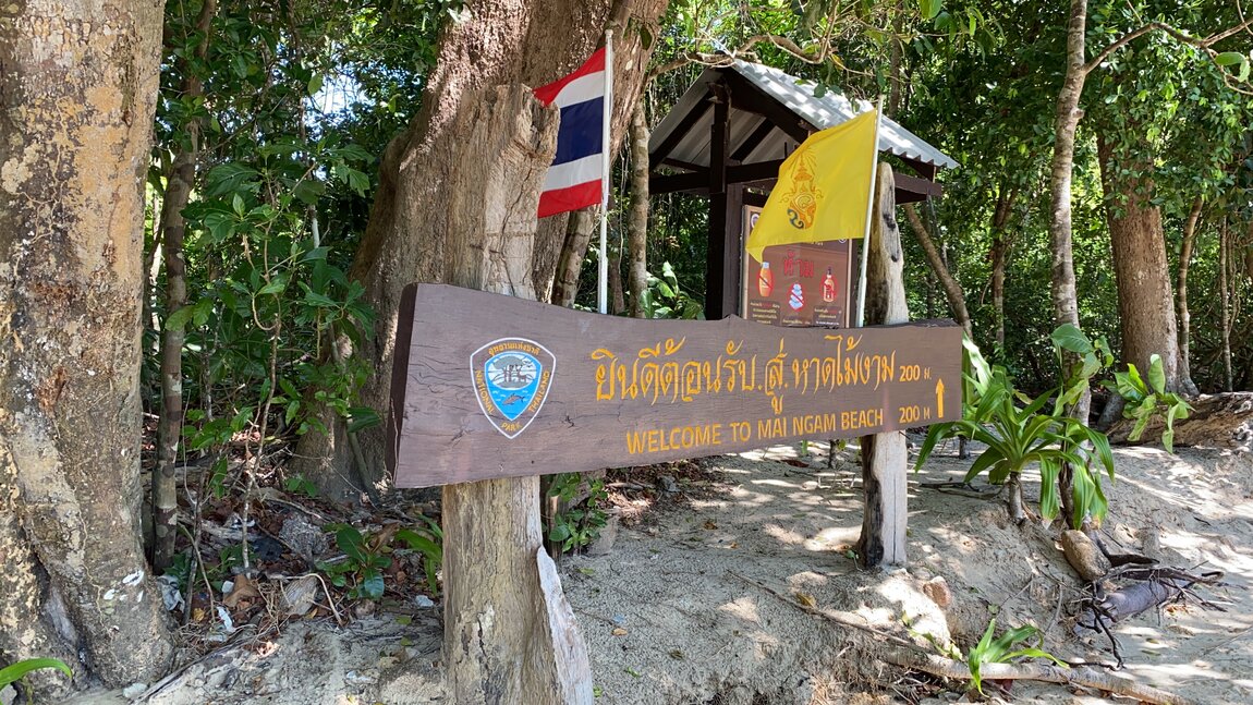 C339E516-7B9C-48EE-8E24-3A3166954671.jpeg C339E516-7B9C-48EE-8E24-3A3166954671.jpeg