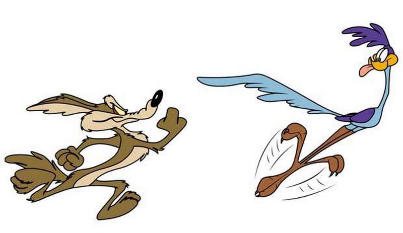 catch-that-roadrunner.jpg