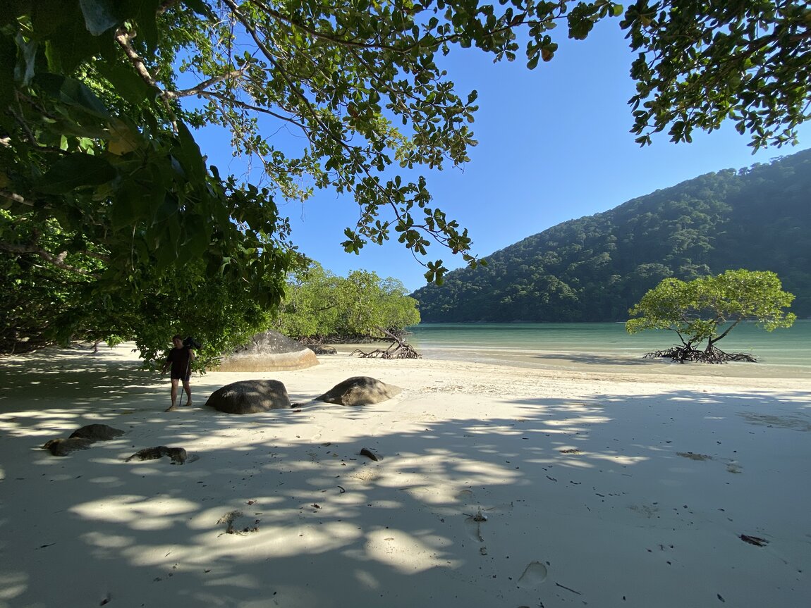 CCBF52B6-FE7F-46DC-B6E1-31F0FB2FC21E.jpeg CCBF52B6-FE7F-46DC-B6E1-31F0FB2FC21E.jpeg