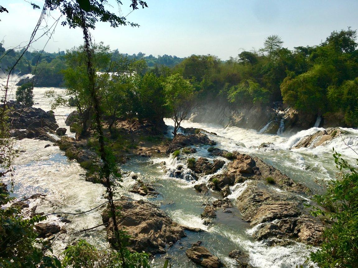 CFD83F7E-A775-4DB4-8186-951D14EDA757.jpeg CFD83F7E-A775-4DB4-8186-951D14EDA757.jpeg