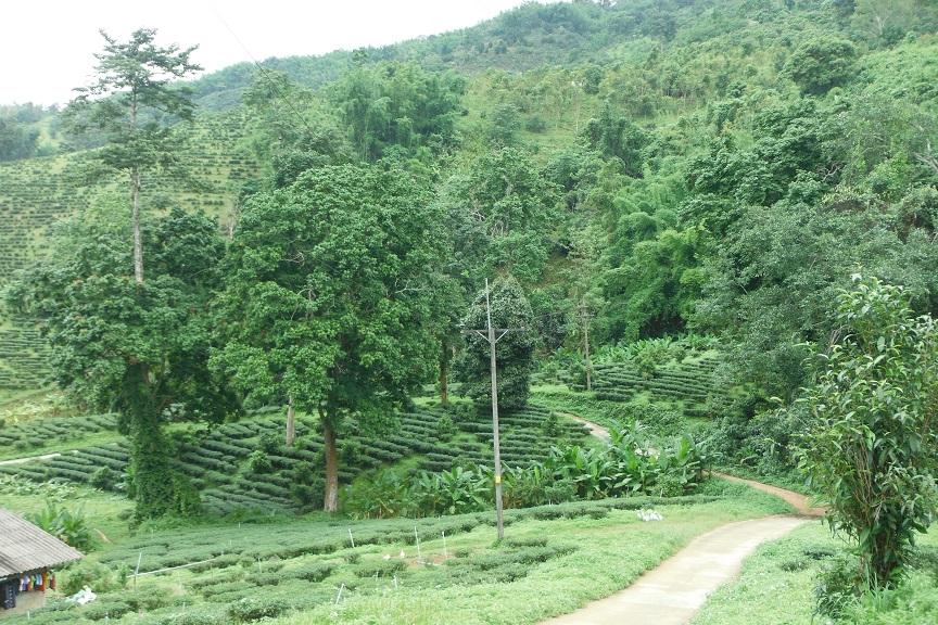 Chiand Rai Motorcycle ride (14).JPG