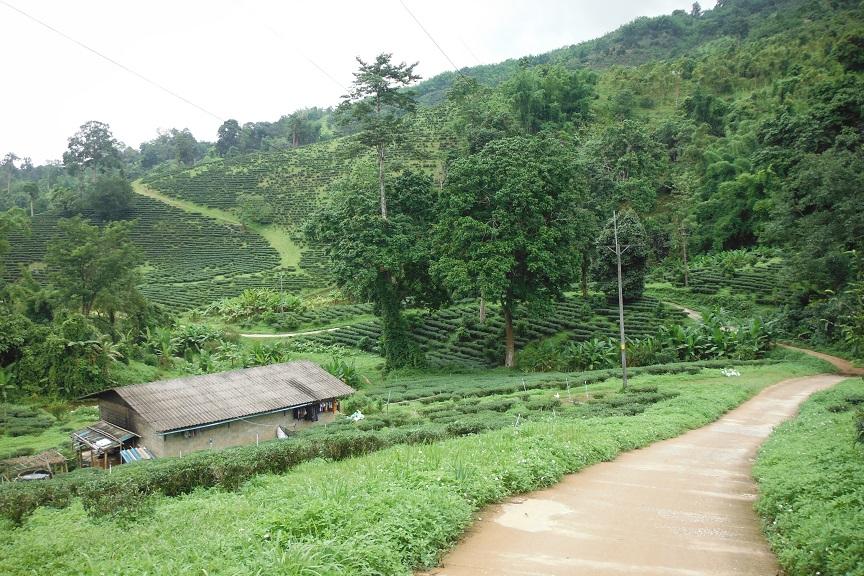 Chiand Rai Motorcycle ride (15).JPG