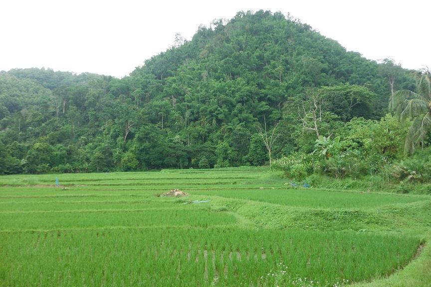 Chiand Rai Motorcycle ride (4).JPG