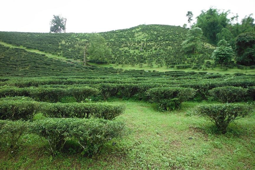 Chiand Rai Motorcycle ride (8).JPG