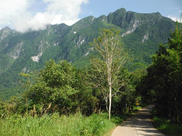 Chiang Dao Pai (2).JPG