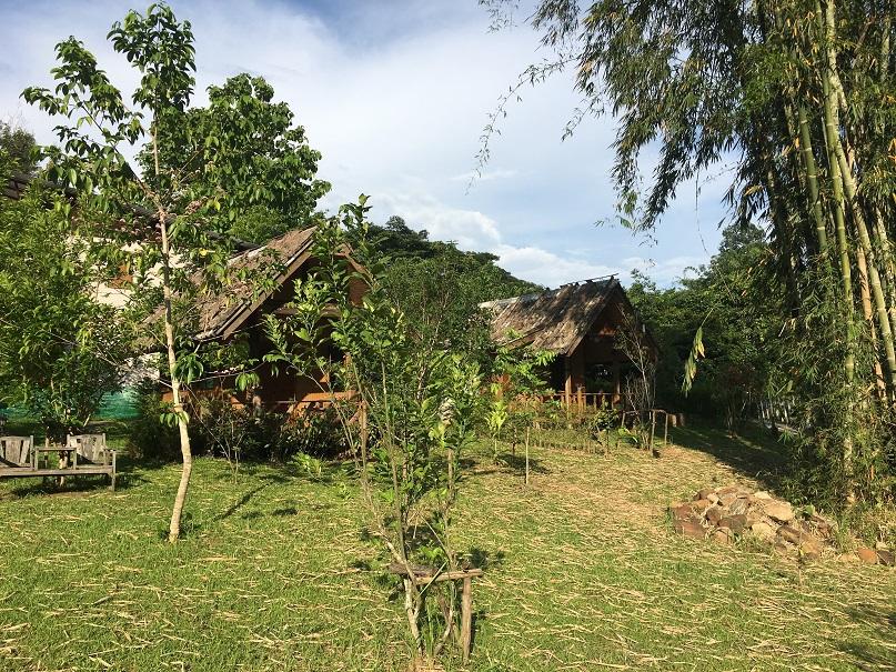 Chiang Dao Pai (5).jpg